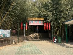 -鲁山国家森林公园