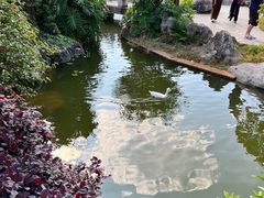 -朱家花园