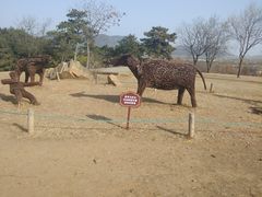 -北京西山国家森林公园