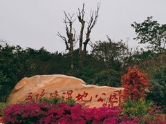 -五缘湾湿地公园