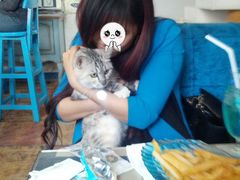 -Sirena海妖日咖夜酒