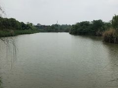 -白鹭湾湿地公园