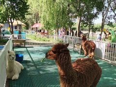 -水上乐园·欢乐世界