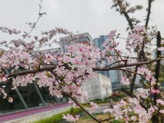 -成都市第一人民医院(南区)