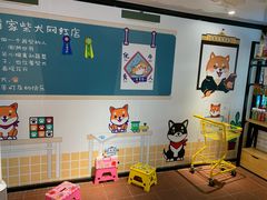 -柴犬高等学院·狗咖·柴犬售卖·宠物训练