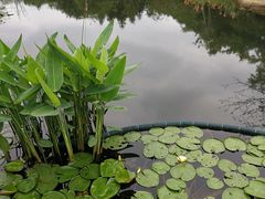 -映月湖公园