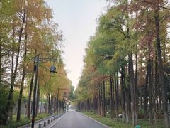 -老乡鸡(武汉烽胜路店)