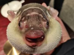 -永安鱼庄·镇江菜(东吴路店)