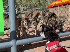 -长白岛森林公园