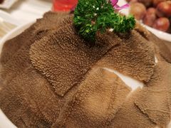 鲜毛肚-犇鼎牛潮汕牛肉火锅(新辰里学清路店)