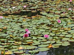 -白鹭湾湿地公园