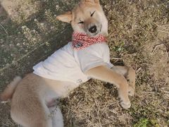 -永定河休闲森林公园