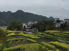 -新安江山水画廊风景区