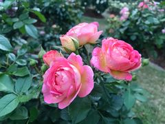 -人民公园(罗湖区)