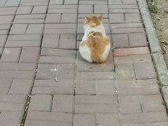 -长安大学(北校区)