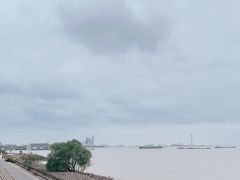-上海滨江森林公园