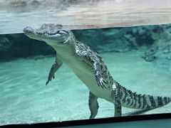 -福州罗源湾海洋世界旅游区