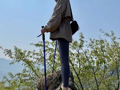 -大岭沟猕猴桃谷风景区