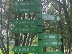 -金鸡湖桃花岛