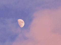 -海底捞火锅(老城根店)