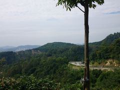 -火炉山森林公园