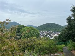 -香雪海