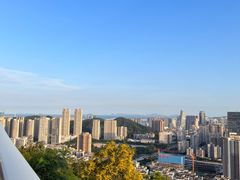 -板樟山森林公园