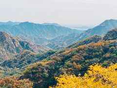 -大岭沟猕猴桃谷风景区