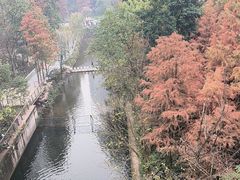 -重庆彩云湖湿地公园
