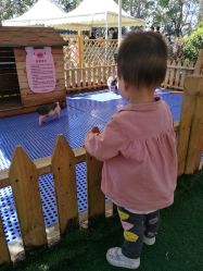 -萌宠亲子动物乐园(槐房万达店)