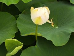 -东钱湖旅游度假区