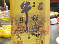 -羊大爷涮肉(亮马桥店)