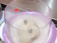 -元气寿司(金光华店)