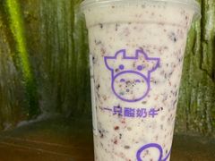 -一只酸奶牛(曲江龙湖星悦荟店)