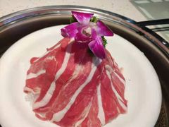 -九孔·筒骨莲藕汤锅(大明宫万达店)