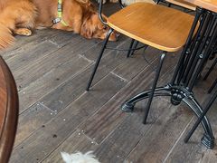 -肥朵食堂(带梦胡同店)