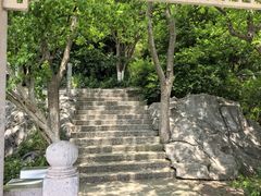 -巢湖姥山岛