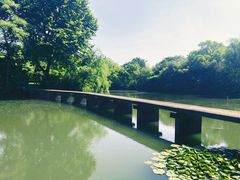 -西溪国家湿地公园