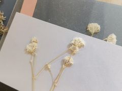 -XI·LaundryCafe 喜咖自助洗衣咖啡店