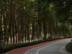 -龙头寺公园