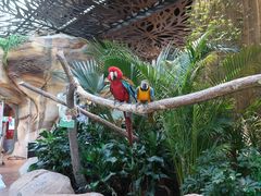 -杭州开元森泊度假乐园