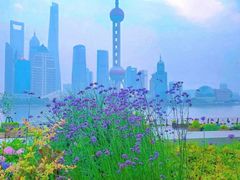 -外滩8号 whisky bar(金延大厦店)