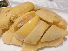 白切香妃鸡-阿英煲(凉城路店)