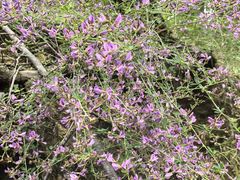 -東更道点心行(文化东路店)