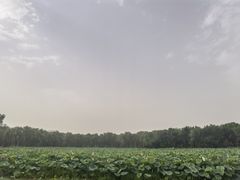 -东郊湿地公园