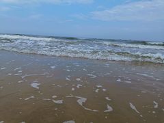 -日照海滨国家森林公园
