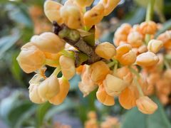 -苏州河梦清园环保主题公园