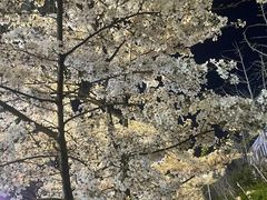 -幕燕滨江·燕子矶公园