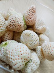 -Oasis Beauty水磨坊科技美肤中心