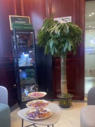 -南京医科大学友谊整形外科医院